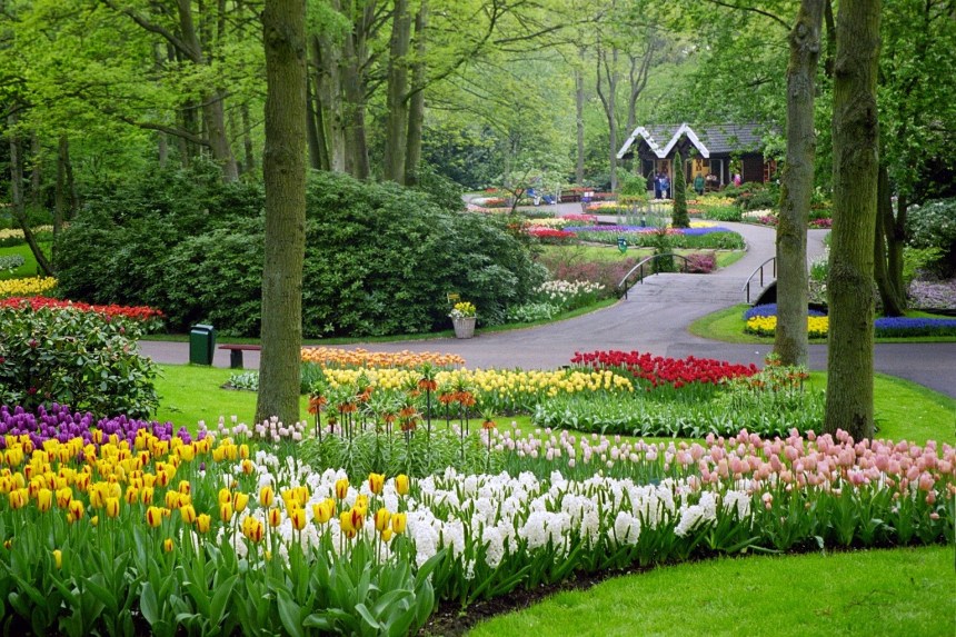 05_Keukenhof0011_.jpg