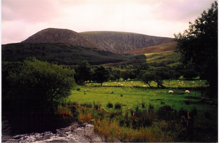 06_BrynGloch0002_.jpg