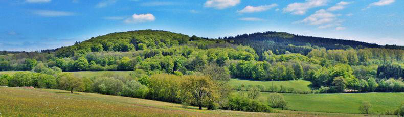 vogelsberg-panorama-2010-6
